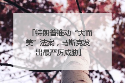 特朗普推动“大而美”法案，马斯克发出最严厉威胁