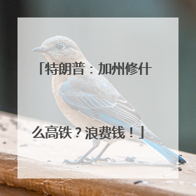 特朗普：加州修什么高铁？浪费钱！