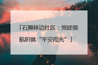 石狮林边社区：党建领航织就“平安霞光”