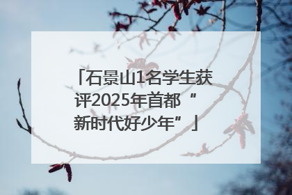 石景山1名学生获评2025年首都“新时代好少年”