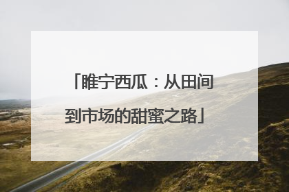 睢宁西瓜：从田间到市场的甜蜜之路