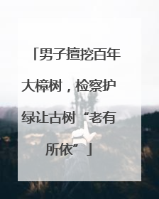 男子擅挖百年大樟树，检察护绿让古树“老有所依”