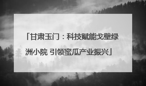 甘肃玉门：科技赋能戈壁绿洲小院 引领蜜瓜产业振兴