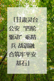 甘肃灵台公安“四轮驱动”砺精兵 战训融合筑牢平安基石