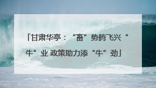甘肃华亭：“畜”势腾飞兴“牛”业 政策助力添“牛”劲