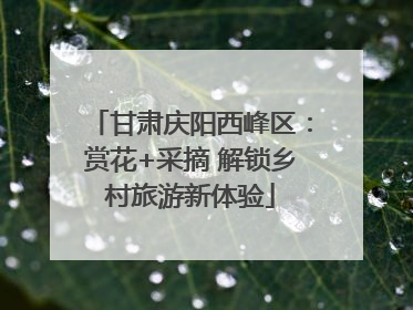 甘肃庆阳西峰区：赏花+采摘 解锁乡村旅游新体验