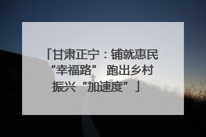 甘肃正宁：铺就惠民“幸福路” 跑出乡村振兴“加速度”