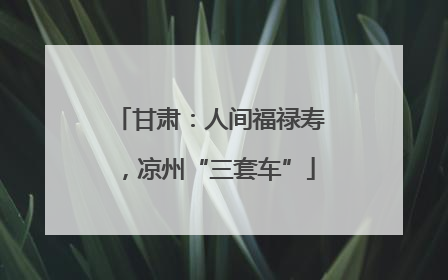 甘肃：人间福禄寿，凉州“三套车”