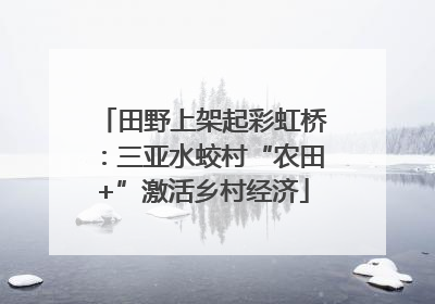 田野上架起彩虹桥：三亚水蛟村“农田+”激活乡村经济