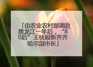 由农业农村部调赴黑龙江一年后，“80后”王杕履新齐齐哈尔副市长