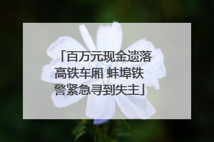 百万元现金遗落高铁车厢 蚌埠铁警紧急寻到失主