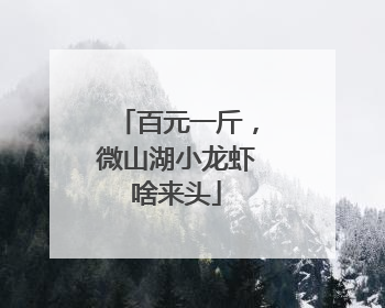 百元一斤，微山湖小龙虾啥来头