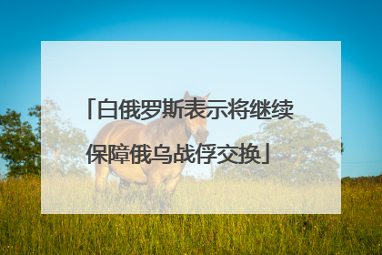 白俄罗斯表示将继续保障俄乌战俘交换