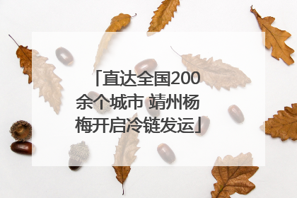 直达全国200余个城市 靖州杨梅开启冷链发运