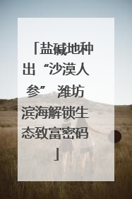 盐碱地种出“沙漠人参” 潍坊滨海解锁生态致富密码