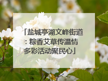 盐城亭湖文峰街道：粽香艾草传温情 多彩活动聚民心