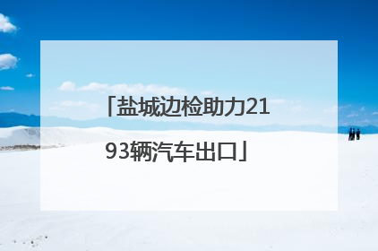 盐城边检助力2193辆汽车出口