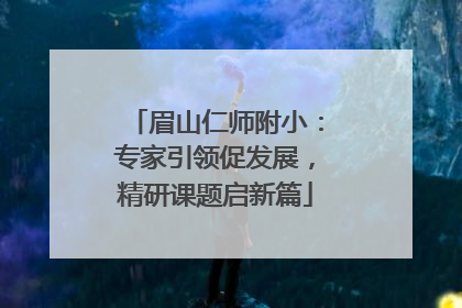 眉山仁师附小：专家引领促发展，精研课题启新篇