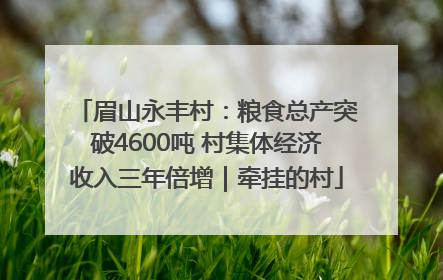 眉山永丰村：粮食总产突破4600吨 村集体经济收入三年倍增｜牵挂的村