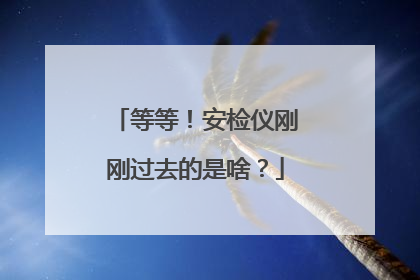 等等！安检仪刚刚过去的是啥？