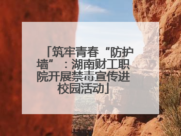 筑牢青春“防护墙”：湖南财工职院开展禁毒宣传进校园活动