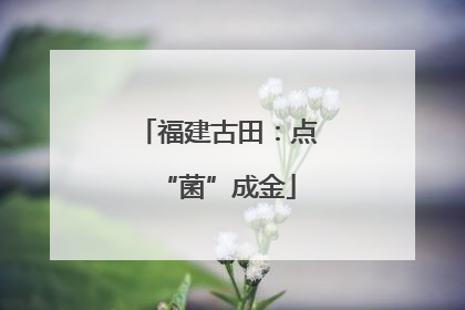 福建古田：点“菌”成金