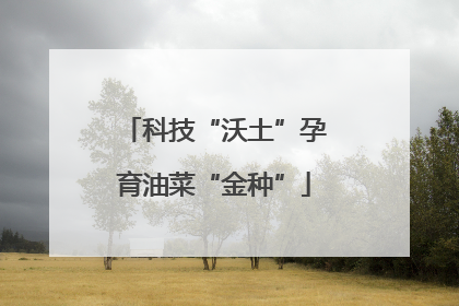 科技“沃土”孕育油菜“金种”