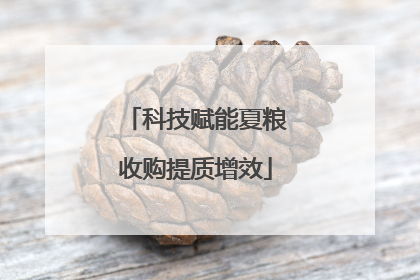 科技赋能夏粮收购提质增效