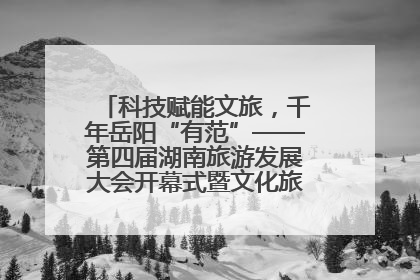 科技赋能文旅，千年岳阳“有范”——第四届湖南旅游发展大会开幕式暨文化旅游推介会侧记
