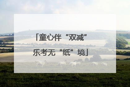 童心伴“双减” 乐考无“纸”境