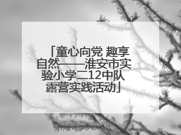 童心向党 趣享自然——淮安市实验小学二12中队露营实践活动