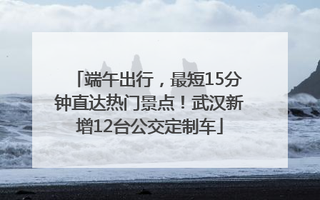 端午出行，最短15分钟直达热门景点！武汉新增12台公交定制车