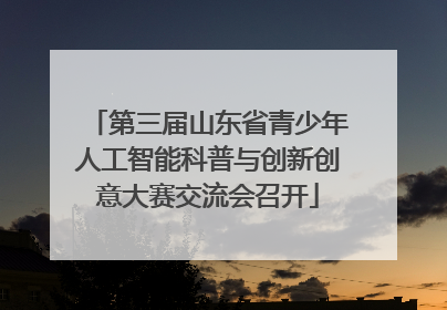 第三届山东省青少年人工智能科普与创新创意大赛交流会召开