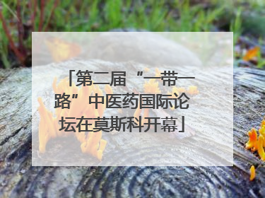第二届“一带一路”中医药国际论坛在莫斯科开幕