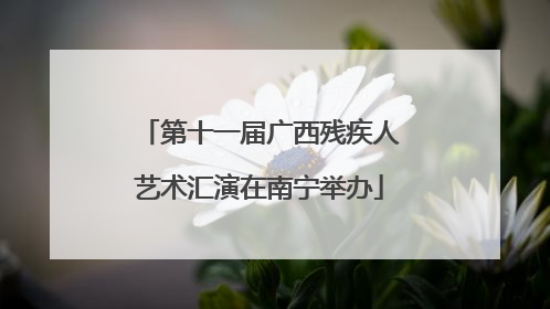 第十一届广西残疾人艺术汇演在南宁举办