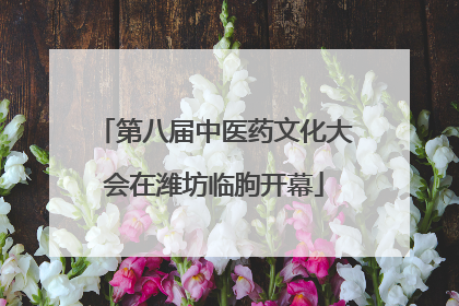 第八届中医药文化大会在潍坊临朐开幕