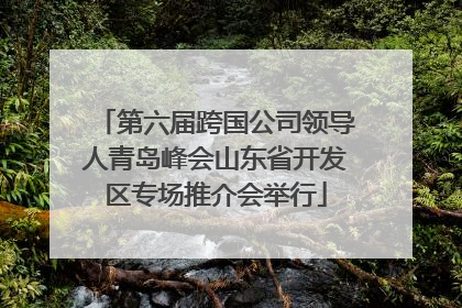 第六届跨国公司领导人青岛峰会山东省开发区专场推介会举行
