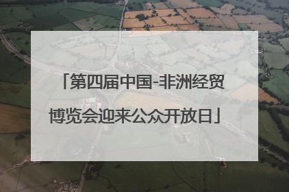 第四届中国-非洲经贸博览会迎来公众开放日