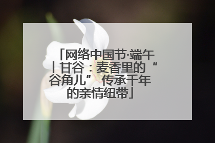 网络中国节·端午丨甘谷：麦香里的“谷角儿” 传承千年的亲情纽带