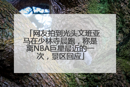 网友拍到光头文班亚马在少林寺晨跑，称是离NBA巨星最近的一次，景区回应
