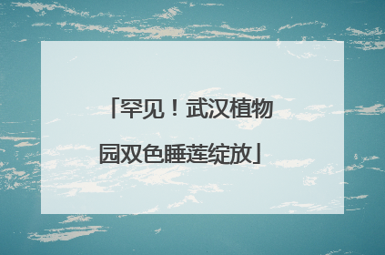 罕见！武汉植物园双色睡莲绽放