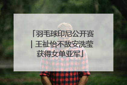 羽毛球印尼公开赛｜王祉怡不敌安洗莹 获得女单亚军