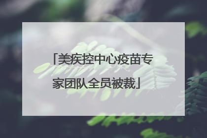 美疾控中心疫苗专家团队全员被裁