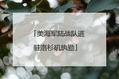 美海军陆战队进驻洛杉矶执勤