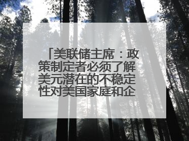 美联储主席：政策制定者必须了解美元潜在的不稳定性对美国家庭和企业的影响