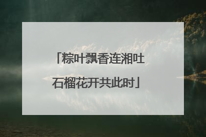 粽叶飘香连湘吐 石榴花开共此时