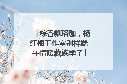 粽香飘珞珈，杨红梅工作室别样端午情暖藏族学子