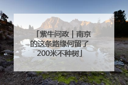 紫牛问政｜南京的这条路缘何留了200米不种树