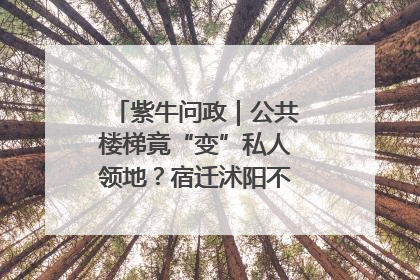紫牛问政｜公共楼梯竟“变”私人领地？宿迁沭阳不动产登记引质疑