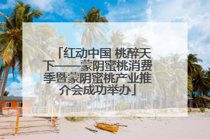红动中国 桃醉天下——蒙阴蜜桃消费季暨蒙阴蜜桃产业推介会成功举办